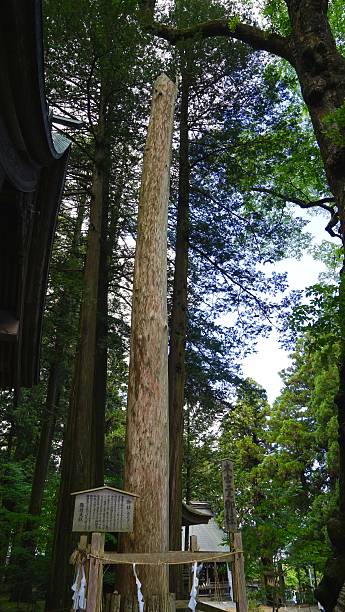 istock Pillar of Suwa-taisha shrine 487309572