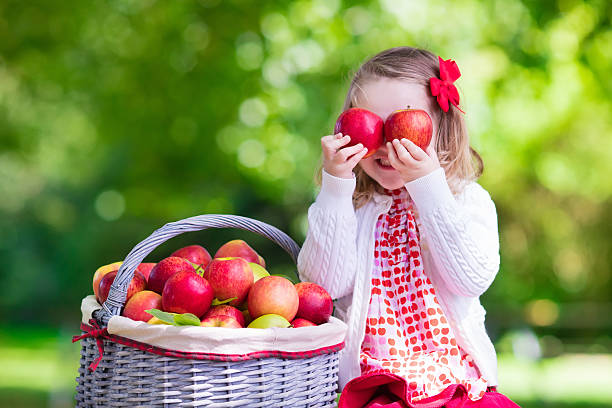 милая девочка, выбора яблок в фруктовый сад - apple eating little girls green стоковые фото и изображения