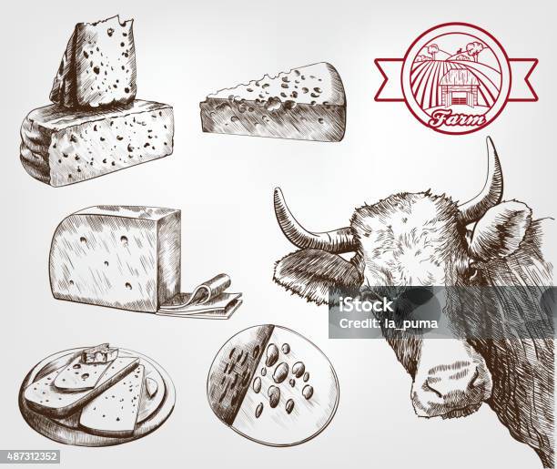 Breeding Cows Stock Illustration - Download Image Now - Cow, Cheese, Switzerland
