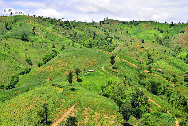istock view of agriculture on mountain 487312402