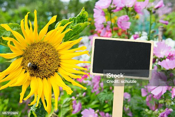 Garden Table Copy Stock Photo - Download Image Now - Writing Slate, Flowerbed, Gardening