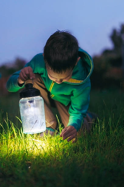 boy with a lantern a boy with a lantern looking for a loss in the grass at night lanterns at night stock pictures, royalty-free photos & images
