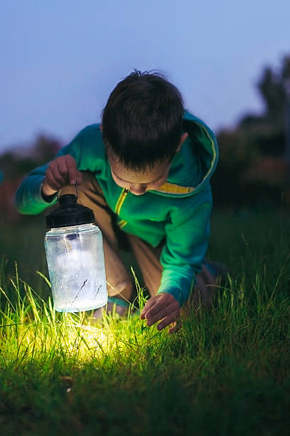 мальчик с фонарь - searching child curiosity discovery стоковые фото и изображения