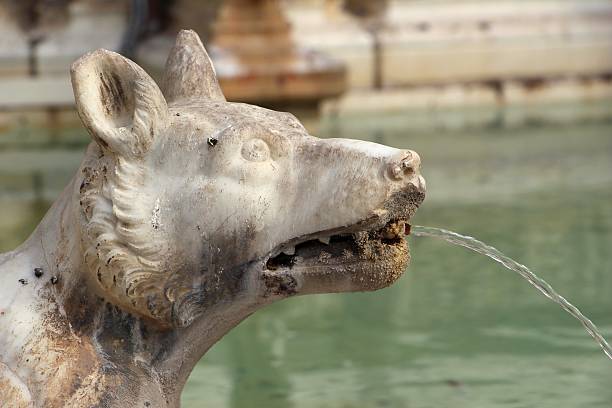 istock siena - gaia's fountain and dog 487312666