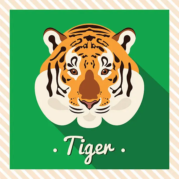 Vector illustration of Vector portrait of a  tiger. Symmetrical portraits of animals.