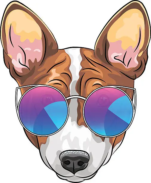 Vector illustration of vector hipster serious dog Basenji in glasses