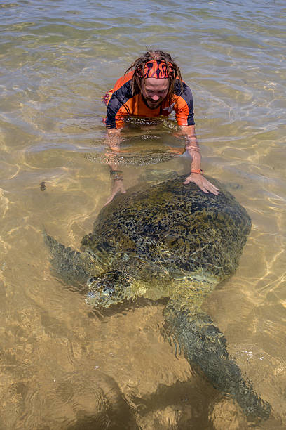 istock Green Sea Turtle and man 487318102