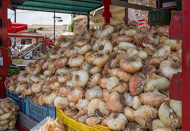 Siracusa, Italy - July 10, 2015: Original Giarratana onions in a market. The Giarratana Onion is a Sicilian variety of onion, big and sweet. Siracusa. Sicily, Italy.
