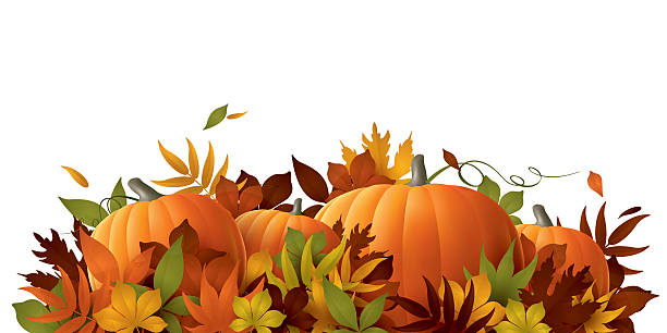 stockillustraties, clipart, cartoons en iconen met thanksgiving background - pompoen