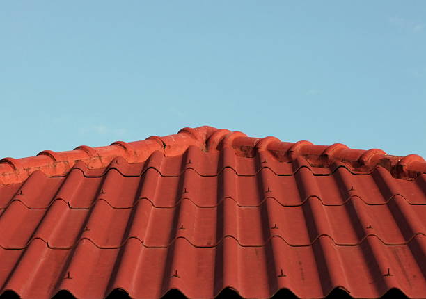 istock Roof Tiles background 487323960