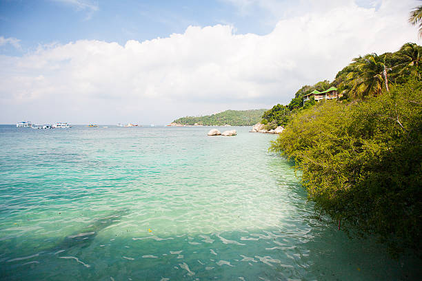 istock Picturesque sea landscape 487328207
