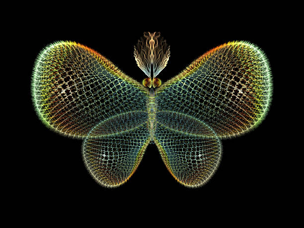 istock Elegance of Butterfly 487328421