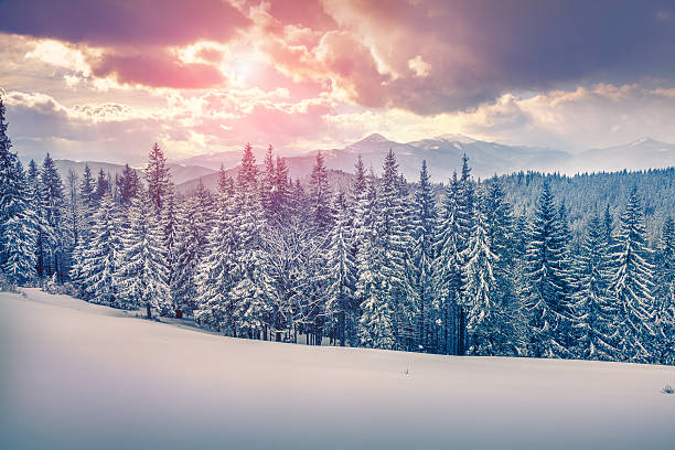 istock Beautiful winter sunrise in the Carpathian mountains. 487329856