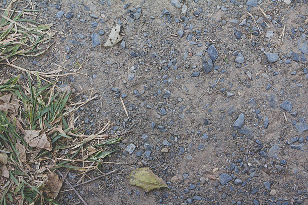 gravel with grass on the floor stock photo