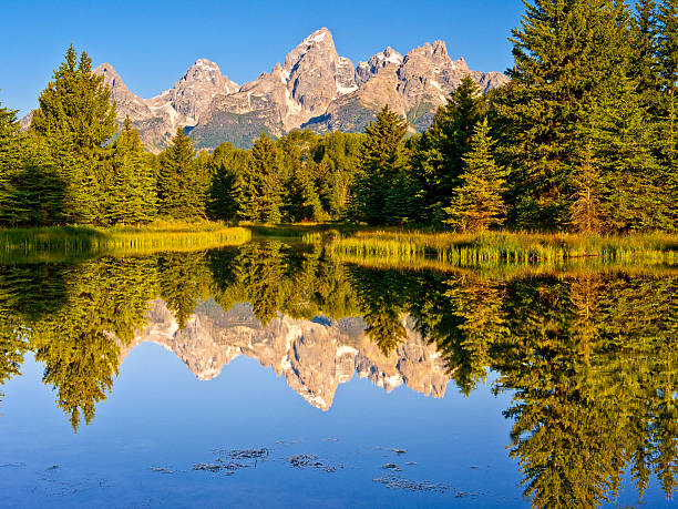istock Teton Morning at Schwabacher's Landing 487330211