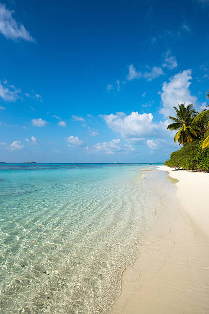 istock Perfect tropical island paradise beach 487330898