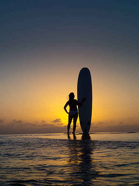 istock Surfer at Sunset in Tropical Beach Paradise Vertical 487331307