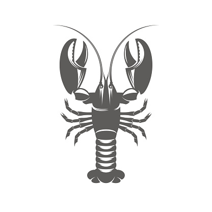 Vector illustration of a lobster in the old-fashioned style and line-art style. Can be used as a tattoo