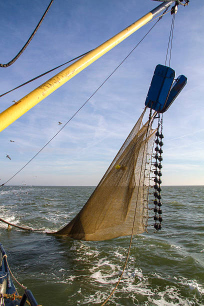 istock Trawl fishing net for shrimps dragging through sea 487332357