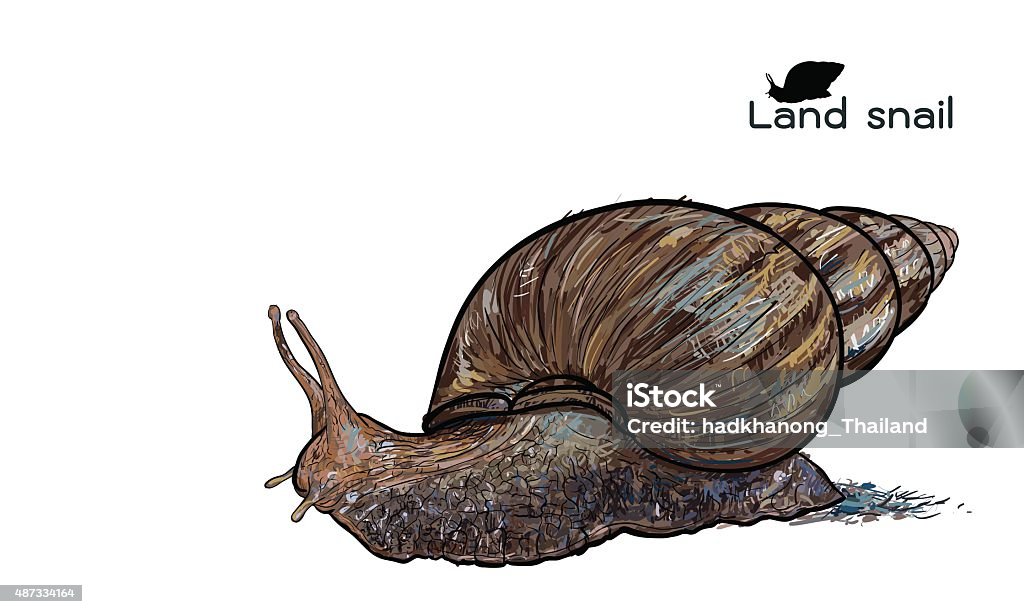 Crawling Land Snails Stock Illustration - Download Image Now - 2015, Animal,  Animal Antenna - iStock