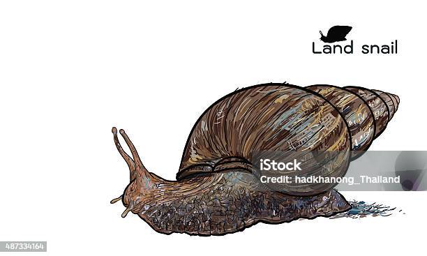 Crawling Land Snails Stock Illustration - Download Image Now - 2015, Animal,  Animal Antenna - iStock