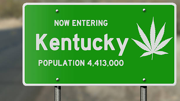 Kentucky and marijuana laws