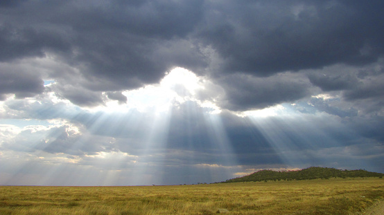 Vehemente nubes sobre el Serengeti photo