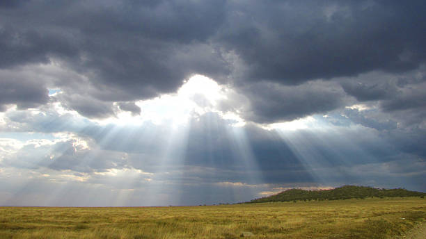 nuvole di pioggia su serengeti - storm cloud dramatic sky cloud cumulonimbus foto e immagini stock