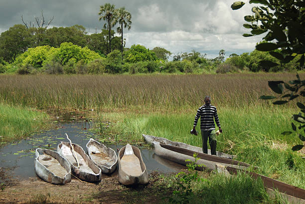 delta do okavango, em botsuana, áfrica - makoro - fotografias e filmes do acervo