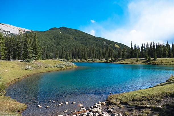 istock Forget-Me-Not-Pond near Bragg Creek,Alberta,Canada 487345926