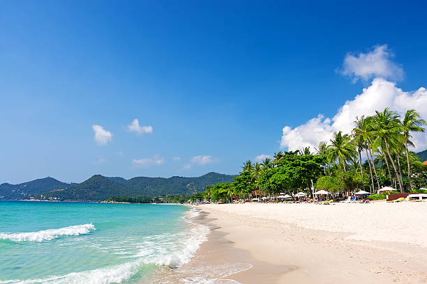 istock View of Chaweng beach, Koh Samui, Thailand 487348324