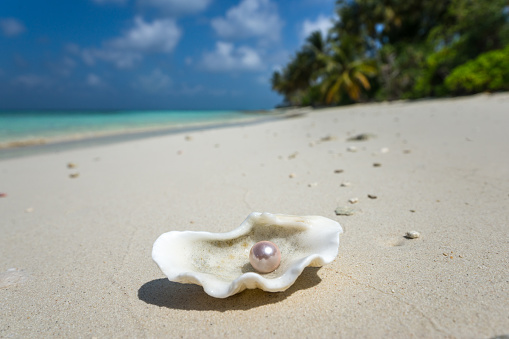 Open shell with a pearl on tropical sandy beach
