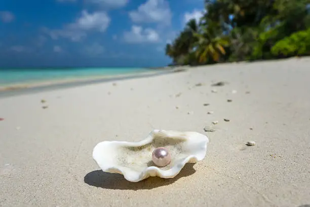 Open shell with a pearl on tropical sandy beach