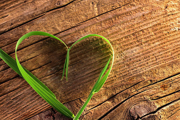 istock Blades of grass as heart 487356895