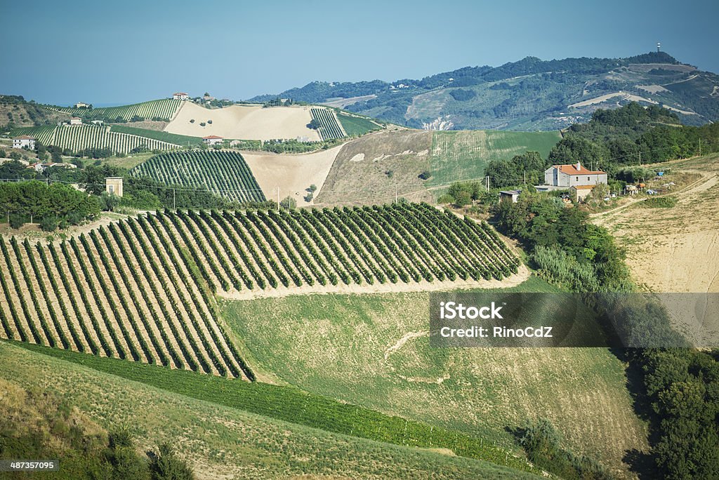 Paesaggio italiano - Foto stock royalty-free di Agricoltura