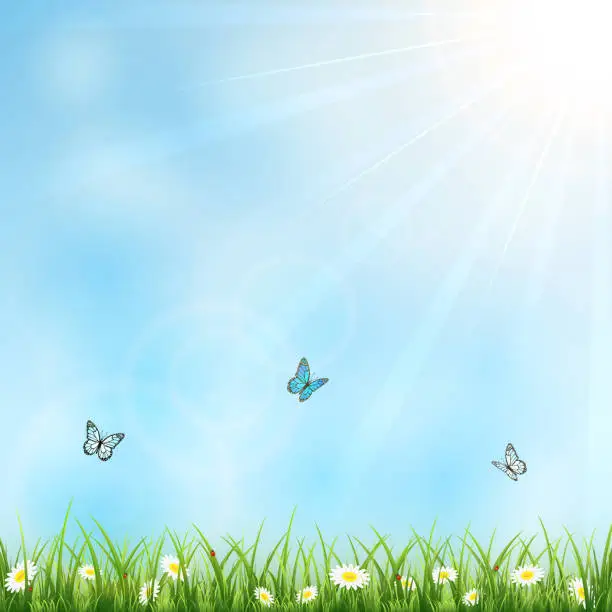 Vector illustration of Summer background with flowers