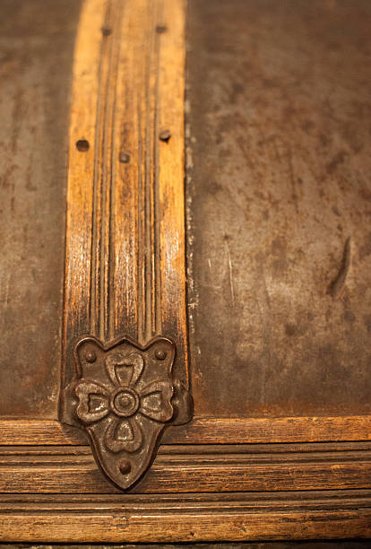 istock Close Up of a Trunk 487358657