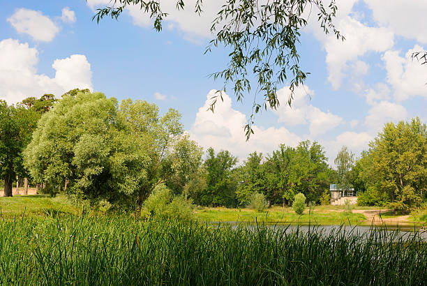 istock Summer idyllic landscape with small house 487358801