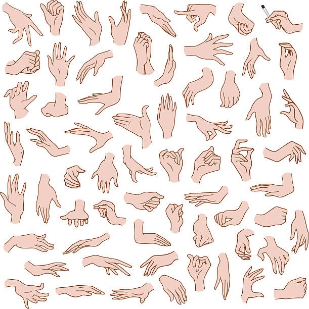Woman Hands Pack Vector illustrations pack of woman hands in various gestures. hand sign illustrations stock illustrations