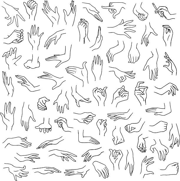 Woman Hands Pack Lineart vector art illustration