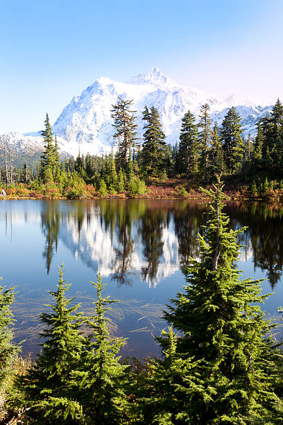 istock Beauty in Nature 487362095