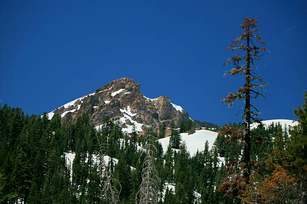 istock Lassen Volcanic National Park 487362268