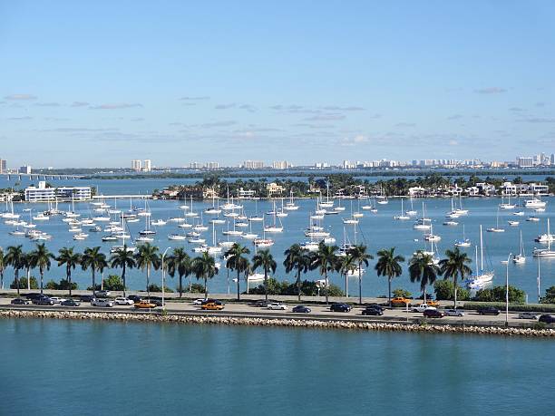 istock Bay of Miami 487362584