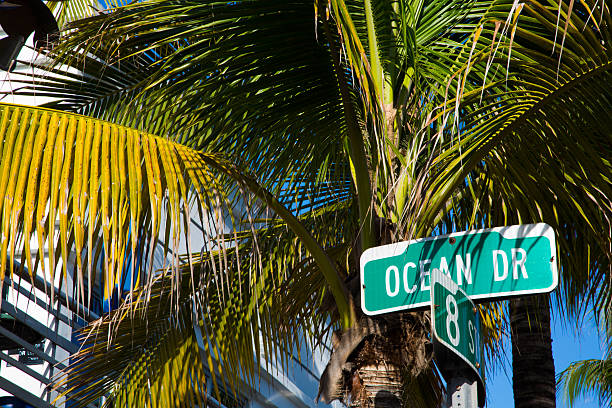 istock Ocean Drive plate in Miami Beach 487371140