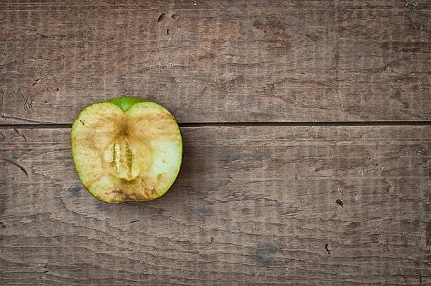 stary suchy apple - rotting apple fruit rudeness zdjęcia i obrazy z banku zdjęć