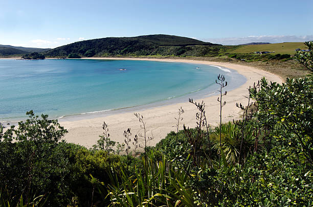 istock Karikari Peninsula - New Zealand 487374676