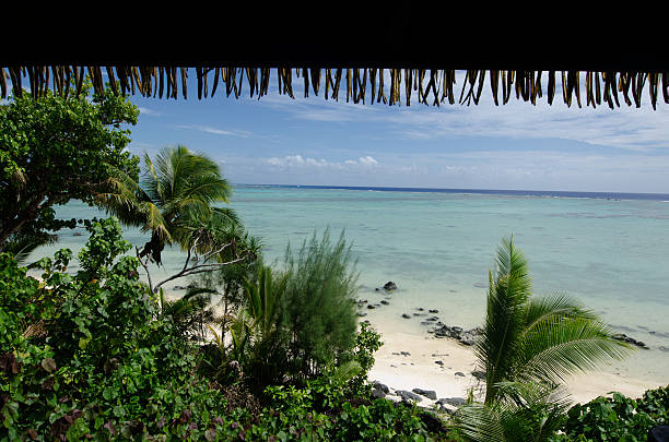istock Beach bungalow on tropical pacific ocean Island 487375202