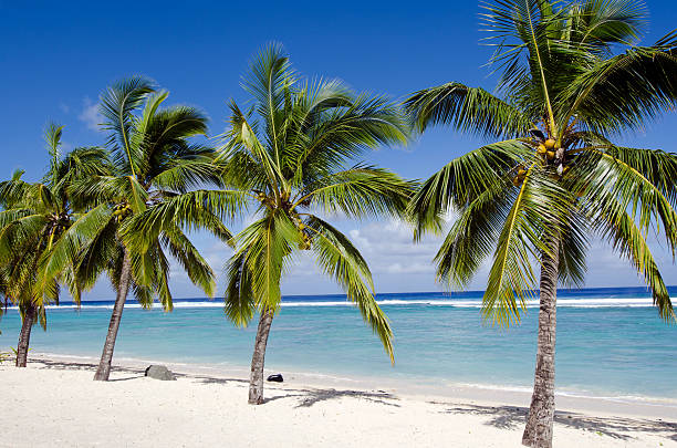 istock Titikaveka beach in Rarotonga Cook Islands 487375458