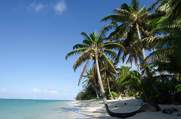 istock Titikaveka beach in Rarotonga Cook Islands 487375462