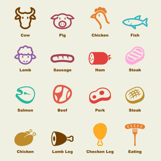 ilustrações, clipart, desenhos animados e ícones de elementos de carne - chicken fish beef pig